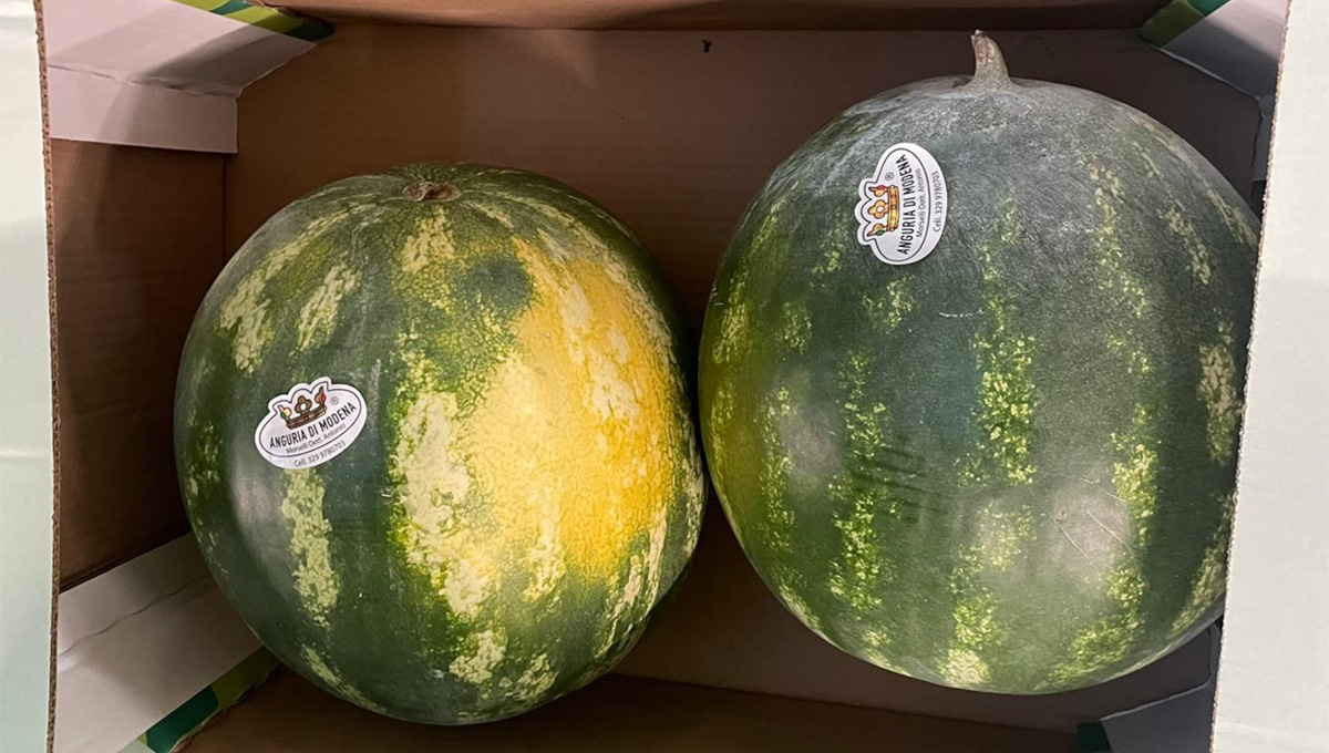 Anguria - Emilia - 0,50/0,60 euro al chilogrammo